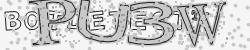 Please input captcha code