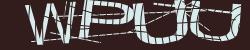 Please input captcha code