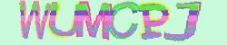 Please input captcha code