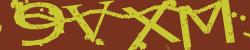 Please input captcha code