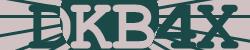 Please input captcha code