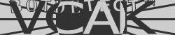Please input captcha code