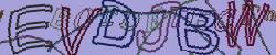 Please input captcha code