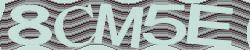 Please input captcha code