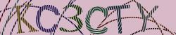 Please input captcha code