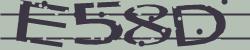 Please input captcha code