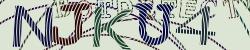 Please input captcha code