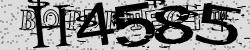 Please input captcha code