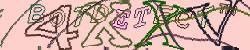 Please input captcha code