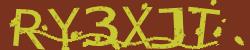 Please input captcha code