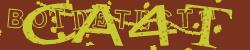 Please input captcha code
