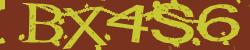 Please input captcha code