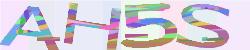 Please input captcha code