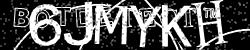 Please input captcha code