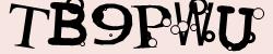 Please input captcha code