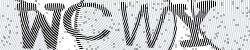 Please input captcha code