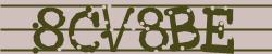 Please input captcha code