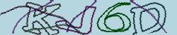 Please input captcha code