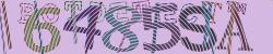 Please input captcha code