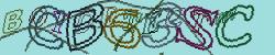 Please input captcha code