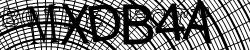 Please input captcha code