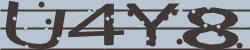 Please input captcha code