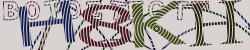 Please input captcha code