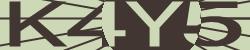 Please input captcha code