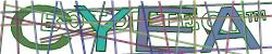 Please input captcha code