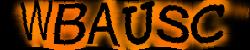 Please input captcha code