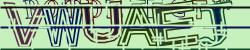 Please input captcha code