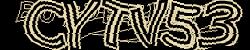 Please input captcha code
