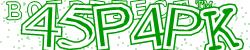 Please input captcha code