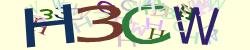 Please input captcha code