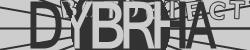 Please input captcha code