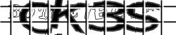 Please input captcha code