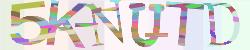 Please input captcha code