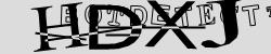 Please input captcha code
