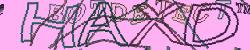 Please input captcha code