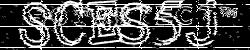 Please input captcha code