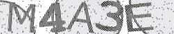 Please input captcha code