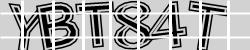 Please input captcha code