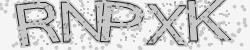 Please input captcha code
