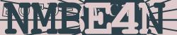 Please input captcha code
