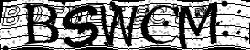 Please input captcha code