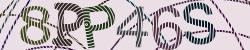 Please input captcha code