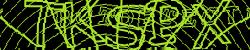 Please input captcha code