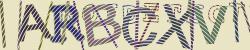 Please input captcha code