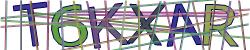 Please input captcha code