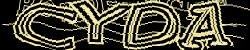 Please input captcha code
